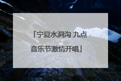 宁夏水洞沟 九点音乐节激情开唱