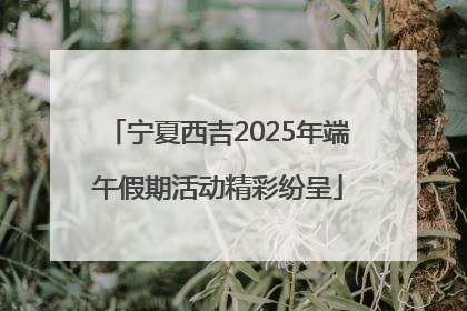 宁夏西吉2025年端午假期活动精彩纷呈