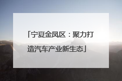 宁夏金凤区：聚力打造汽车产业新生态