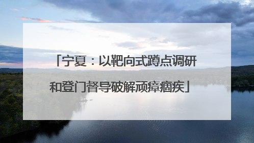 宁夏：以靶向式蹲点调研和登门督导破解顽瘴痼疾