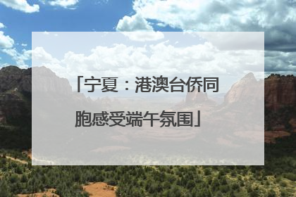 宁夏：港澳台侨同胞感受端午氛围
