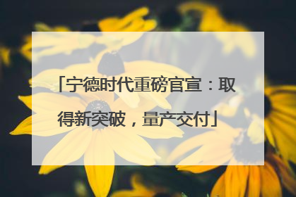 宁德时代重磅官宣：取得新突破，量产交付