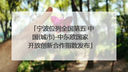 宁波位列全国第五 中国(城市)-中东欧国家开放创新合作指数发布