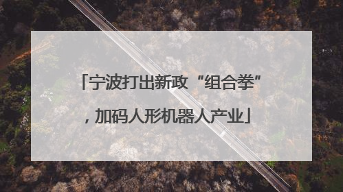 宁波打出新政“组合拳”，加码人形机器人产业