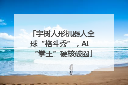 宇树人形机器人全球“格斗秀”，AI“拳王”硬核破圈