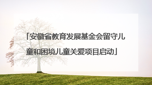 安徽省教育发展基金会留守儿童和困境儿童关爱项目启动