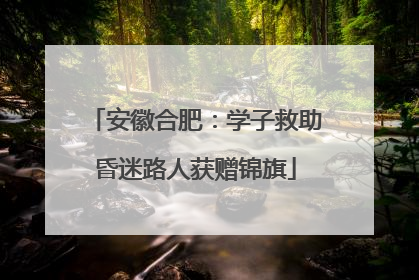 安徽合肥：学子救助昏迷路人获赠锦旗