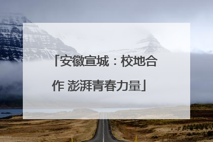 安徽宣城：校地合作 澎湃青春力量