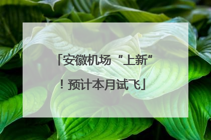 安徽机场“上新”！预计本月试飞