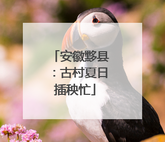 安徽黟县：古村夏日插秧忙