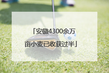 安徽4300余万亩小麦已收获过半