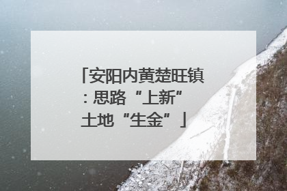 安阳内黄楚旺镇：思路“上新” 土地“生金”