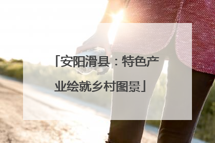 安阳滑县：特色产业绘就乡村图景