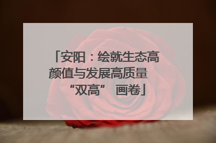 安阳：绘就生态高颜值与发展高质量 “双高” 画卷