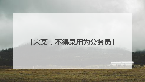 宋某，不得录用为公务员