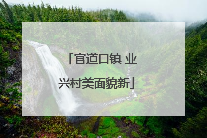 官道口镇 业兴村美面貌新