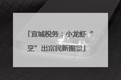 宜城税务：小龙虾“烹”出富民新图景