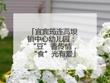 宜宾筠连蒿坝镇中心幼儿园：“豆”香传情，“食”光有爱