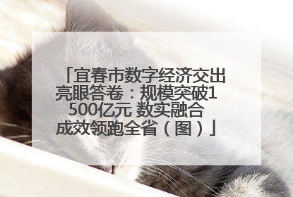 宜春市数字经济交出亮眼答卷：规模突破1500亿元 数实融合成效领跑全省（图）