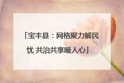 宝丰县：网格聚力解民忧 共治共享暖人心