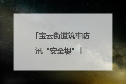 宝云街道筑牢防汛“安全堤”
