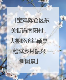 宝鸡陈仓区东关街道南阳村：大棚经济结硕果 绘就乡村振兴新图景