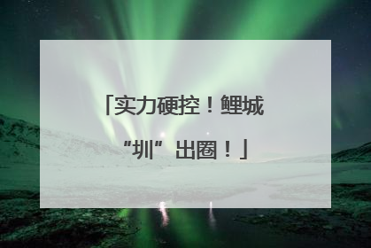 实力硬控！鲤城“圳”出圈！