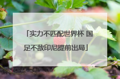 实力不匹配世界杯 国足不敌印尼提前出局