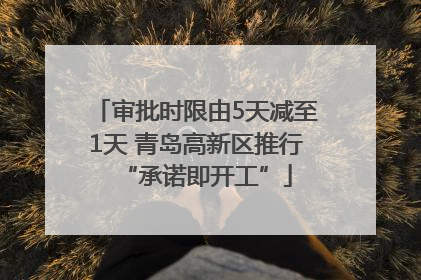 审批时限由5天减至1天 青岛高新区推行“承诺即开工”