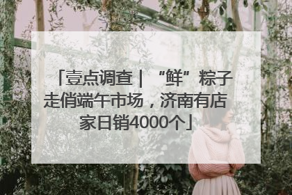 壹点调查｜“鲜”粽子走俏端午市场，济南有店家日销4000个