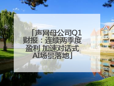 声网母公司Q1财报：连续两季度盈利 加速对话式AI场景落地