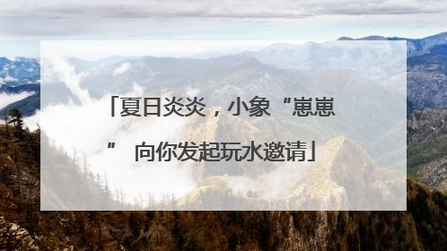 夏日炎炎，小象“崽崽” 向你发起玩水邀请