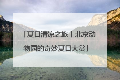 夏日清凉之旅丨北京动物园的奇妙夏日大赏