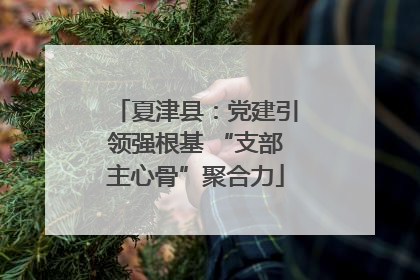 夏津县：党建引领强根基 “支部主心骨”聚合力