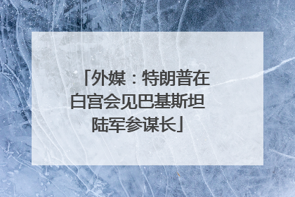 外媒：特朗普在白宫会见巴基斯坦陆军参谋长