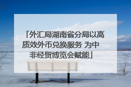 外汇局湖南省分局以高质效外币兑换服务 为中非经贸博览会赋能