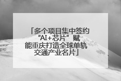 多个项目集中签约 “AI+芯片”赋能重庆打造全球单轨交通产业名片