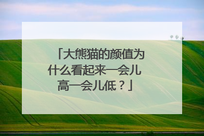 大熊猫的颜值为什么看起来一会儿高一会儿低？