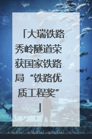 大瑞铁路秀岭隧道荣获国家铁路局“铁路优质工程奖”