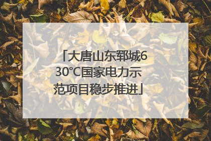 大唐山东郓城630℃国家电力示范项目稳步推进