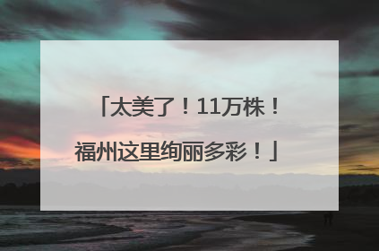 太美了！11万株！福州这里绚丽多彩！