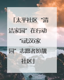 太平社区“清洁家园”在行动 “i武汉i家园”志愿者扮靓社区