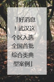 好消息！武汉这个区入选全国首批综合类典型案例
