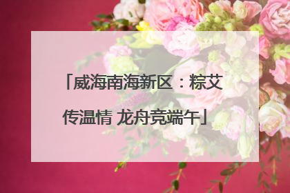 威海南海新区：粽艾传温情 龙舟竞端午