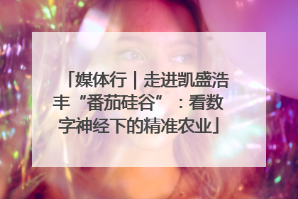 媒体行｜走进凯盛浩丰“番茄硅谷”：看数字神经下的精准农业