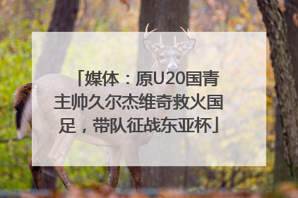 媒体：原U20国青主帅久尔杰维奇救火国足，带队征战东亚杯