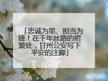 忠诚为墨、担当为锋！在千年丝路的褶皱处，甘州公安写下平安的注脚