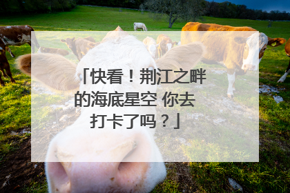 快看！荆江之畔的海底星空 你去打卡了吗？