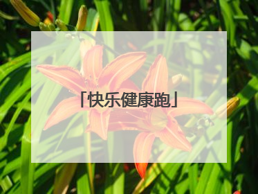 快乐健康跑