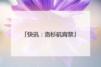 快讯：洛杉矶宵禁